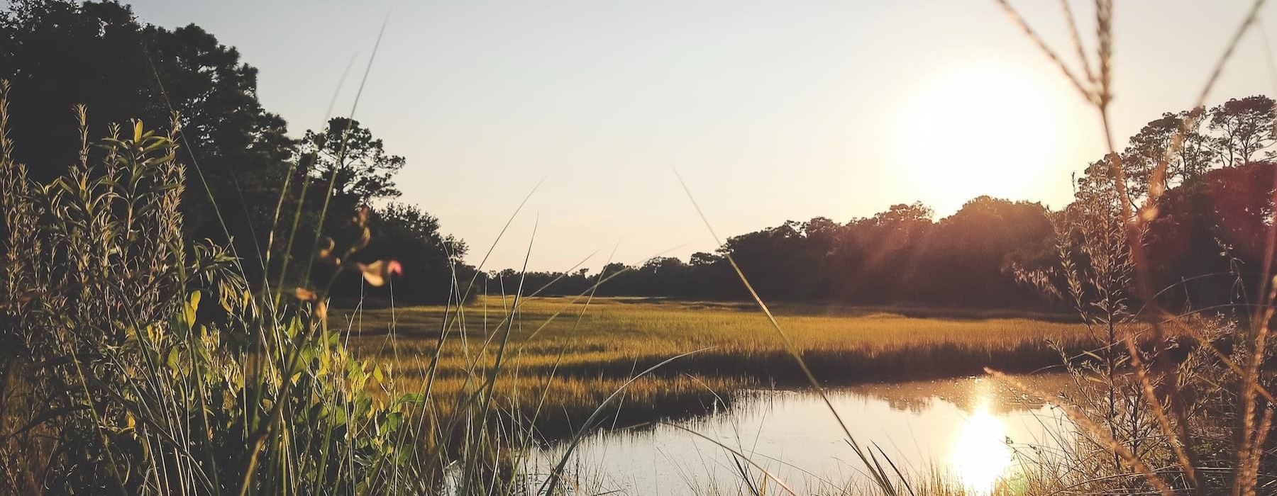 wide view of nature beside a body of water